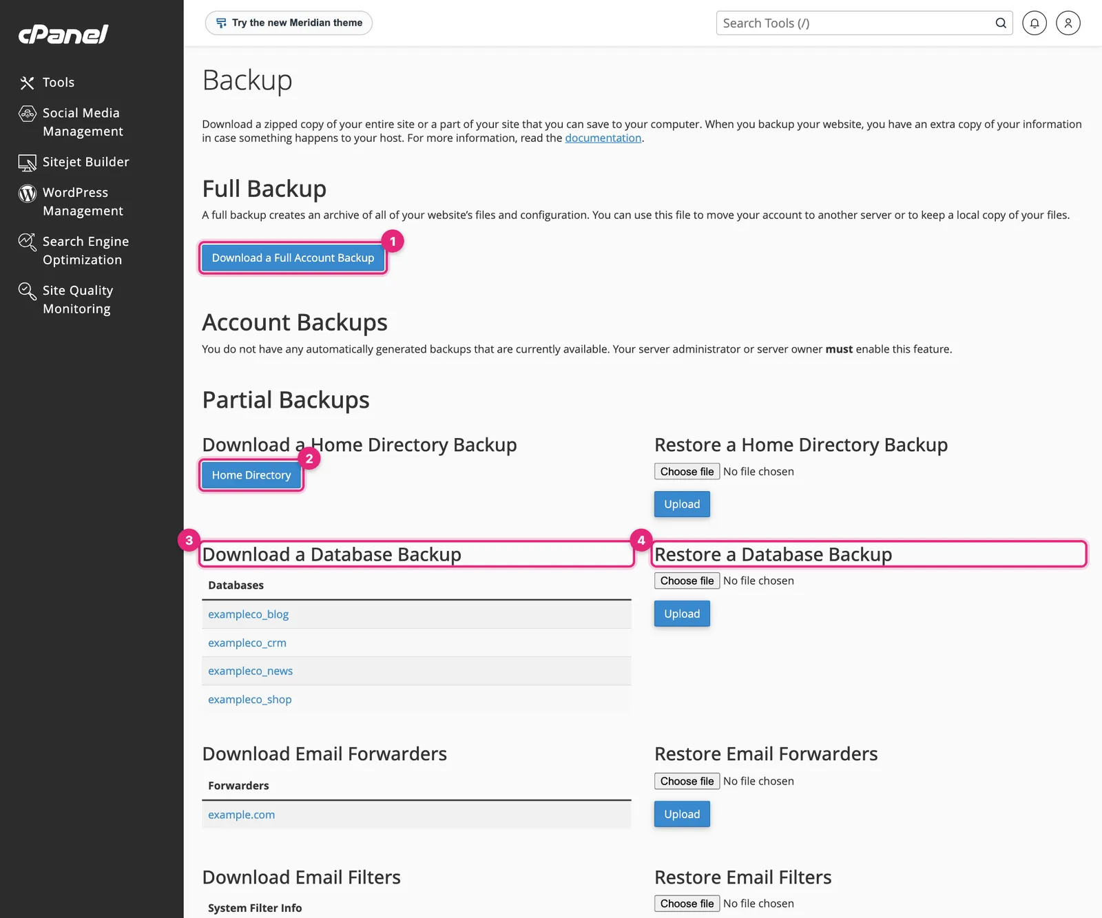 cPanel Backup page with Download a Full Account Backup, Home Directory, Download a Database Backup and Restore a Database Backup highlighted