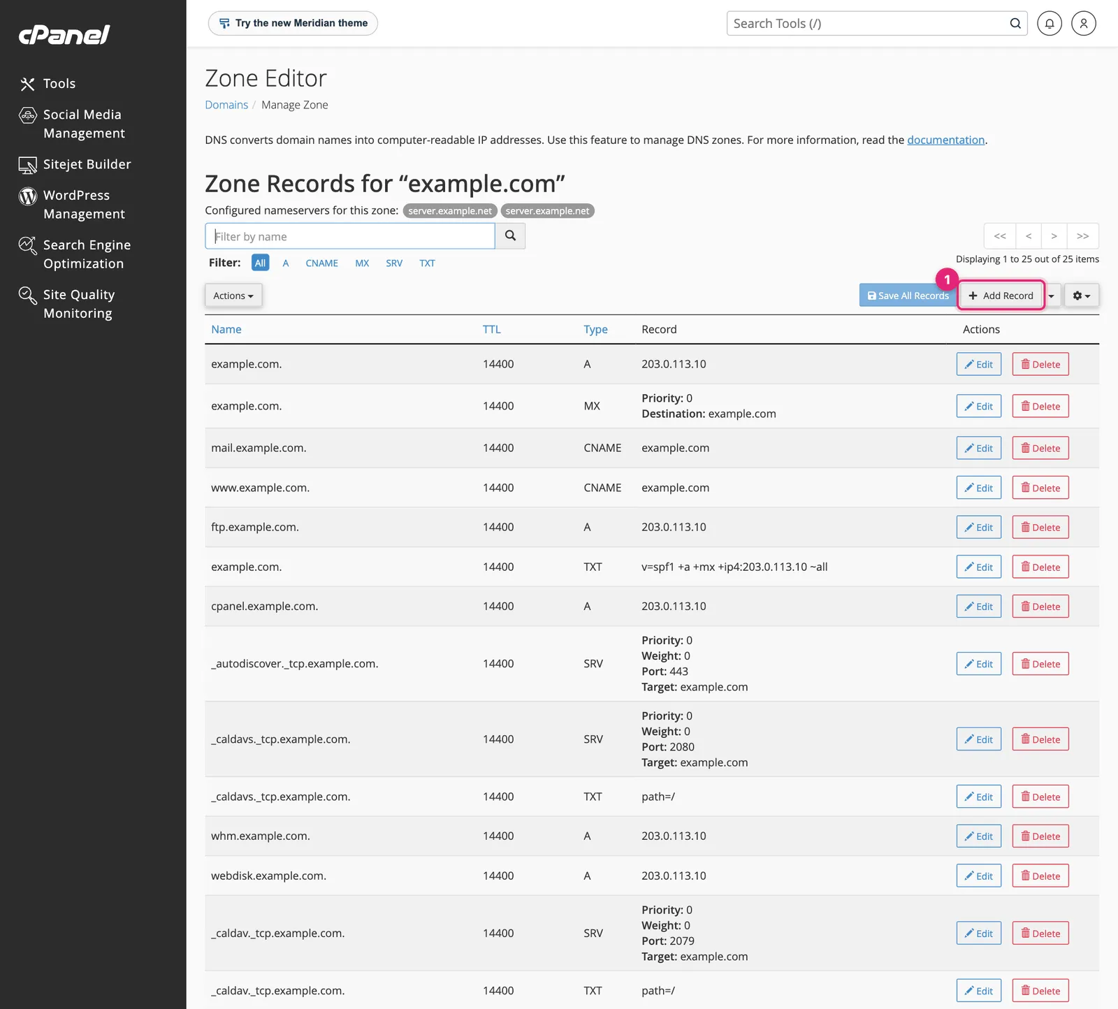 cPanel Zone Records table showing A, MX, CNAME, TXT and SRV records with the Add Record button highlighted