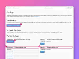 How to back up and restore a website in cPanel