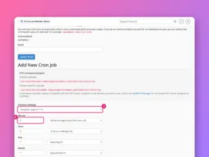How to set up a cron job in cPanel