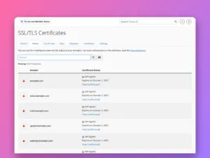 How to install a free SSL certificate in cPanel